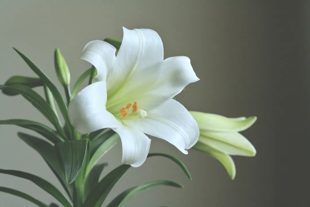 0f861a69c42f5f198bd9a5f06cb5c933.jpg
